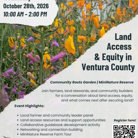 Land Equity