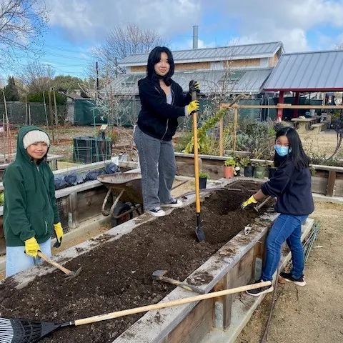 Three people garden around a raised bed filled with soil, using shovels and other hand tools