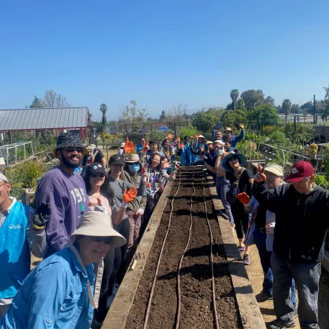 Volunteers helping plant a fall garden
