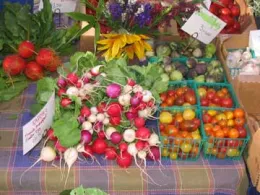 Market Produce from Wild Blue Farm, Tomales