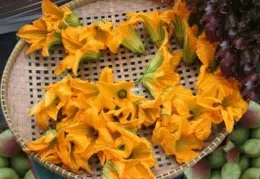 Squash flowers