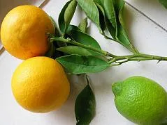 greencitrus