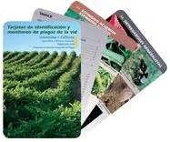 Vineyard Pest ID Cards – en Español