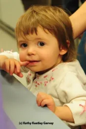 Vivienne Statham: the fascination shows in her face. (Photo by Kathy Keatley Garvey)