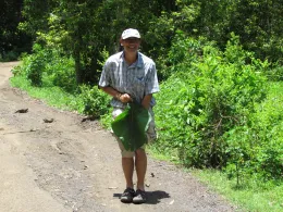 Anthony Cornel, teak leaf, Moheli, Comoros