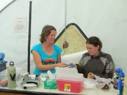 Erika Walters and Laura Wilson