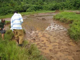 typical larval site, Baffousam, Cameroon