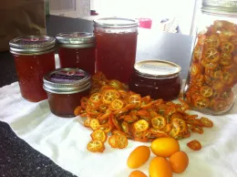 Preserved Lemons