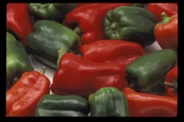 Bell peppers