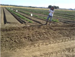 Lynn S UC Weed Day 2013