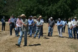 walnut tour 2013 (2)