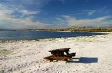 salton