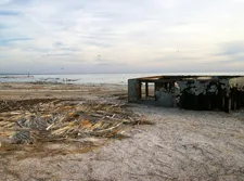salton3