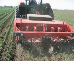 Photo 2. IC Steketee Intelligent cultivators