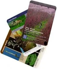 Tree Fruit Pest ID Cards