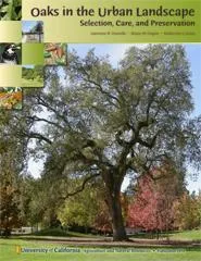 Oaks In The Urban Landscape