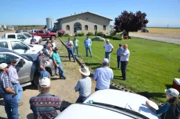 Strip Field Day at Marty Poldevarrt MTSJ Dairy,Orland, CA