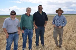 Spanish tomato researchers tour NRI Project field in Five Points