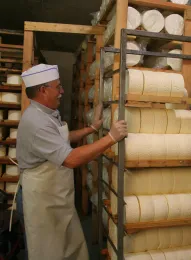 cheese rounds on a shelf