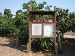 Wooden sign for the "International Rare Fruit Orchard" with a bulletin board, in front of green trees.