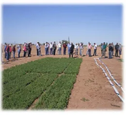 desert extension image