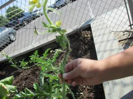 Sept 14 2016 Gray Camara 153