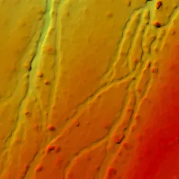 Elevation model created with photogrammetry