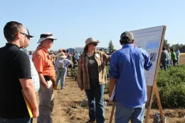 robotic cultivator data from Salinas trials