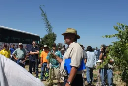 vineyard weed management at UC Weed Day 2017