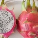 pitahaya