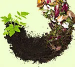 Compost, it's easy to do!