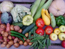 Vegetables Getty Free Paul Grant