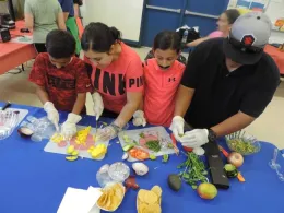 winningfamilyworkingtogether