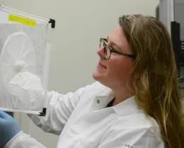 Olivia Winokur is the recipient of a three-year National Science Foundation Graduate Research Fellowship and a 2017 Bill Hazeltine Memorial Award to support her work. (Photo by Kathy Keatley Garvey)