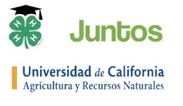 juntos logo
