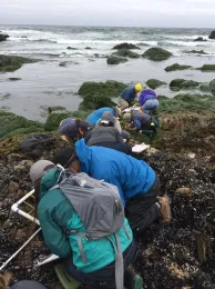 Pacific Grove Museum of Natural History Naturalists.