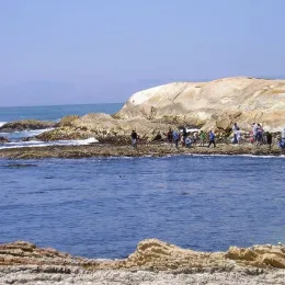 Camp Ocean Pines Naturalists