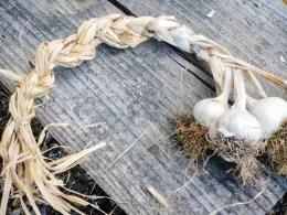 Finished braid. (Garden Betty 2018)