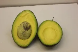 Avocado - South Coast REC