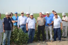 Mark McKean, Riverdale, CA, showing Uzbekistan farmers his cotton fields