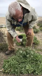 Professor Rick Karban (Photo by Mikaela Huntzinger)