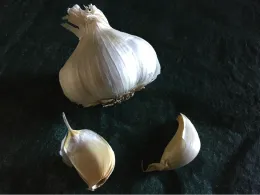 A whole white garlic bulb next to two peeled cloves, set against a dark background.
