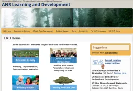 L&D website redesign