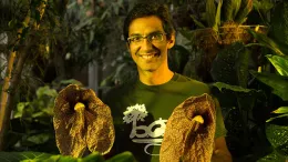 Ernesto Sandoval_640x480