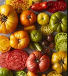 Heirloom Tomatoes