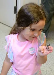 Olivia Bingen, 4, examines a stick insect. Her father is employed by the UC Davis Department of Music. (Photo by Kathy Keatley Garvey)