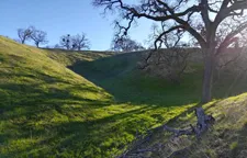 Coyote Knoll at Blue Oak Ranch Reserve. Photo by Kerri Johnson.