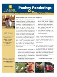 Edition 17 Fall 2019