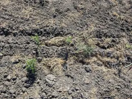 % cover May 1, 2019.