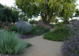 A view of the Haven in late June